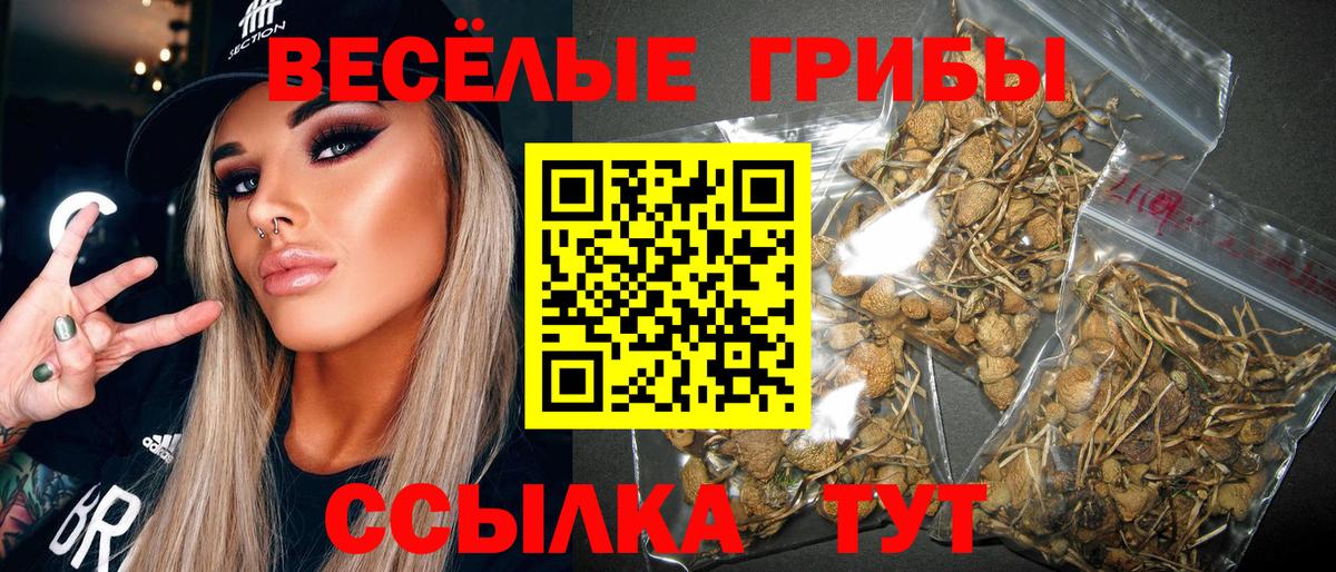Галлюциногенные грибы Psilocybine cubensis Всеволожск